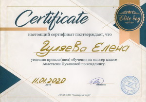 Сертификат105